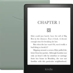Amazon Kindle Paperwhite 5 WiFi 16GB z reklamami zielony