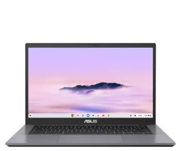 ASUS Chromebook Advanced Core 3-100U/8GB/256/ChromeOS