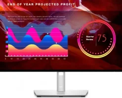 Dell U2422H