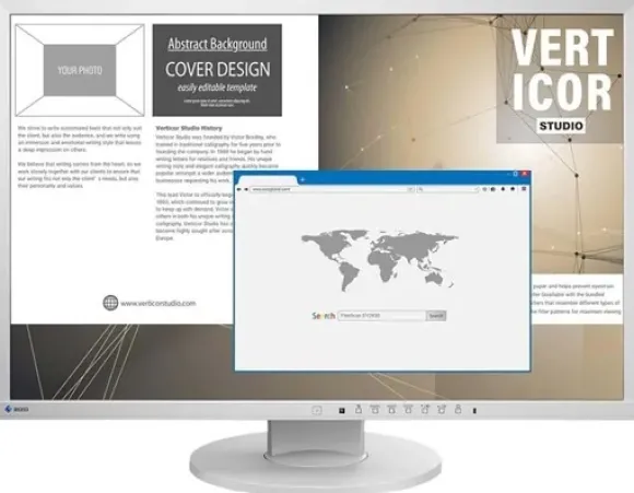 Eizo EV2430-GY 24,1" szary
