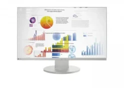 Eizo FlexScan EV2450-GY 24" szary