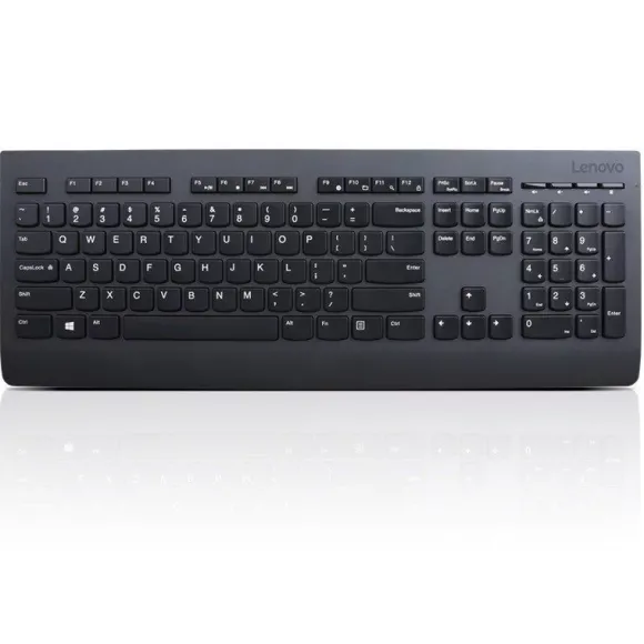 Lenovo Professional US Euro 4X30H56874