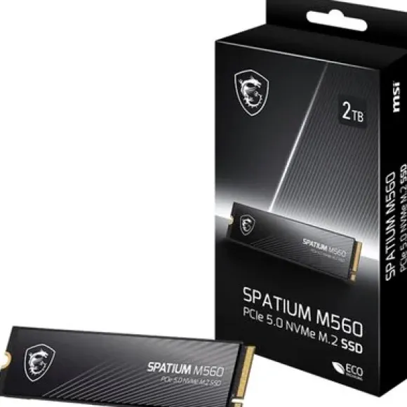 MSI Spatium M560 2TB SSD S78-440Q940-P83