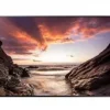Samsung PM32F 32" czarny (LH32PMFPBGC/EN)