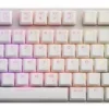 Sharkoon PureWriter TKL RGB